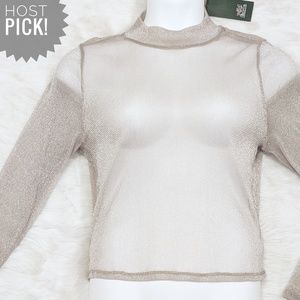 Wild Fable Sheer Silver High Neck Top
Size XXL